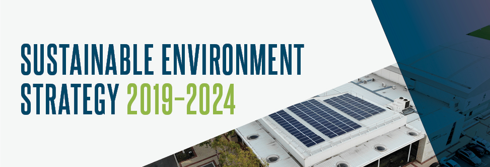 Draft Sustainable Environment Strategy | Imagine Vincent
